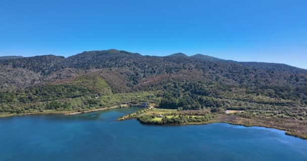 Flying Home Opotaka Reserve Lake Rotoraira Pristine Lush Bush New — Video Stock