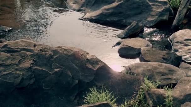 Eau Déplaçant Travers Les Rochers Dans Une Rivière Étant Touché — Video