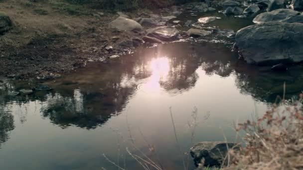 Agua Moviéndose Través Las Rocas Río Siendo Tocada Por Viento — Vídeos de Stock