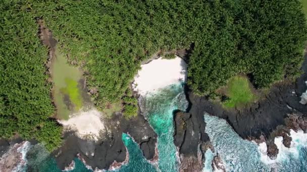Aerial View White Sand Beach Jungle Cliffs Sao Tome Rotating — 비디오