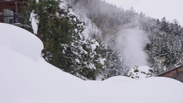 Ånga Stiger Från Onsen Bergen Täckt Snö Nagano Japan — Stockvideo