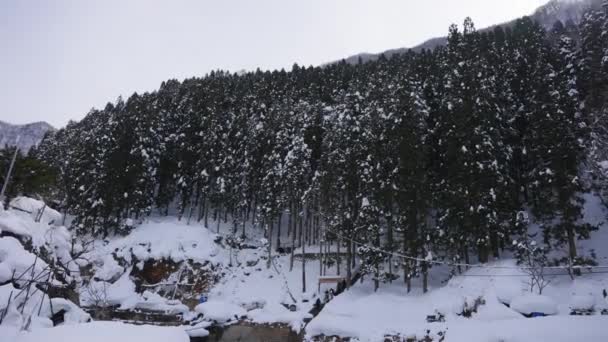 Jigokudani Mountain Valley Coperto Neve Stabilire Colpo Nagano Giappone — Video Stock