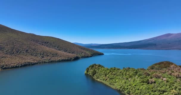 Primer Plano Vuelo Sobre Isla Motuopuhi Hacia Los Flancos Del — Vídeos de Stock