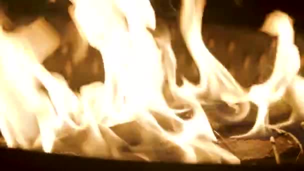 Φωτιά Καίει Ξύλο Στο Δάσος Νύχτα — Αρχείο Βίντεο