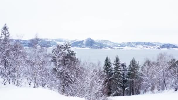 Veduta Panoramica Degli Alberi Innevati Con Lago Montagne Sullo Sfondo — Video Stock