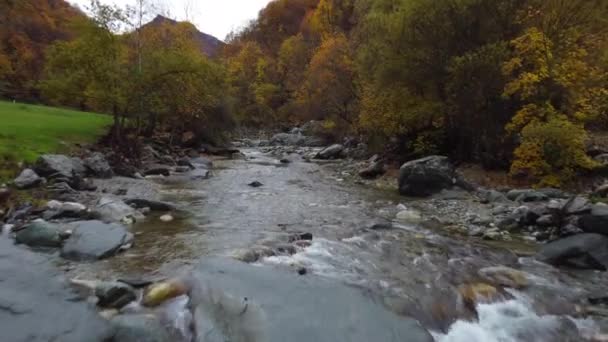 Fiume Montagna Flusso Acqua Con Alberi Rossi Gialli Autunno Fogliame — Video Stock