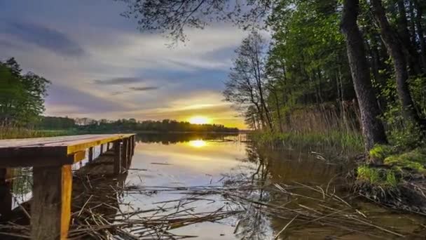 Hyperlapse Shot Van Houten Steiger Takken Zwemmen Het Meer Oppervlak — Stockvideo