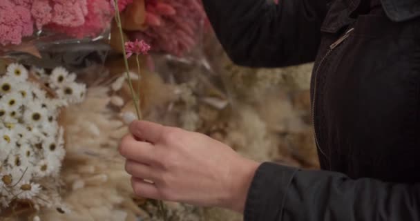 Florista Colhendo Flores Rosa Prateleira Fechar Inclinação Gimbal Para Cima — Vídeo de Stock