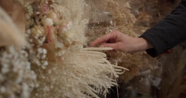 花商在花店采摘干芦苇花束的手 — 图库视频影像