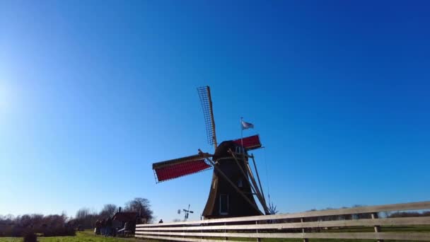 View Traditional Spinning Windmill Holiday Park Molenwaard Sunny Blue Skies — Vídeo de Stock