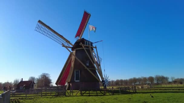 Traditional Spinning Windmill Holiday Park Molenwaard Slow Motion — Vídeo de Stock
