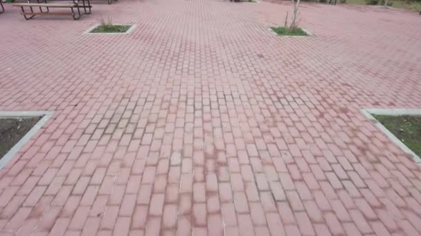 Old Woman Red Brick Pedestrian Path Purple Wheelie Bag — Stok Video