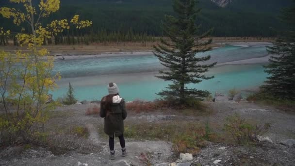 Back Female Hiker Glacial Alpine River Wilderness Canada Icefields Parkway — Stock video