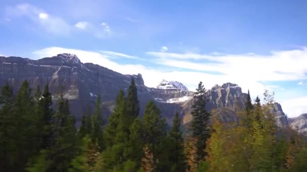 Driving Wilderness Canada Fall Season Colorful Forest Snowy Peaks Jasper — Vídeo de stock