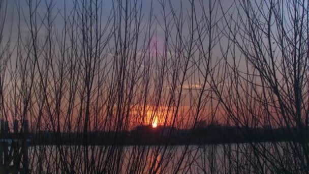 Sun Setting Dense Bush Foreground Static Timelapse View — Stockvideo