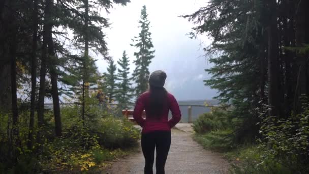 Back View Young Female Hiker Lookout Pathway Wilderness Jasper National — ストック動画