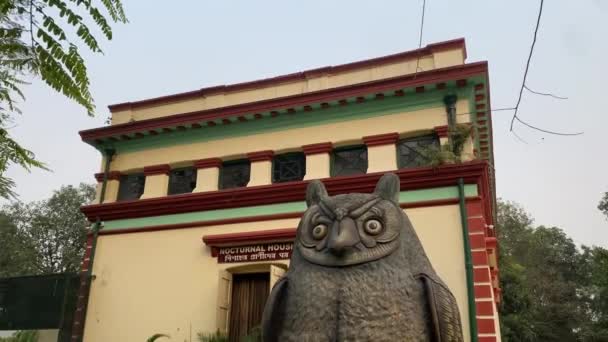Cheap Decorative Garden Fake Owl Statue Parallax Sculpture Owl Perched — Stock video