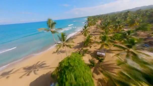 Rapide Vitesse Fpv Tir Tombant Dans Plage Tropicale Vierge Vide — Video