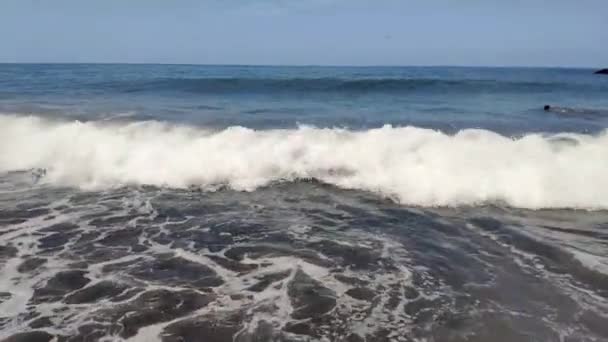 Horizon View Volcanic Beach Canary Islands Beach Sand Black Waves — Vídeo de stock