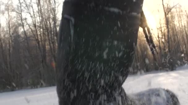 Widok Tyłu Zamknij Niski Kąt Ujęcia Butów Spacerujących Głębokim Śniegu — Wideo stockowe