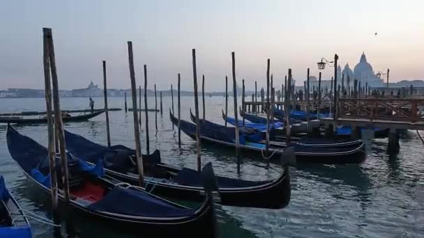 イタリアのヴェネツィアを背景にサンタ マリア デッラ サルテ教会と日没時にゴンドラをドッキング — ストック動画