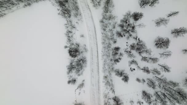 Karlı Kış Norveç Soluk Kırsal Viraj Yolu Nda Aşağı Uçan — Stok video