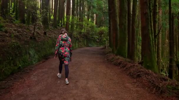 Woman Walking Jungle Gravel Road Sun Shining Trees Pan — Wideo stockowe