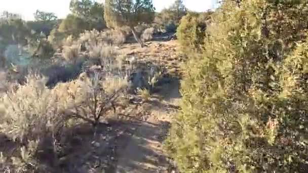 避免小灌木丛在蜿蜒的沙漠小径上 骑越野车射击 — 图库视频影像