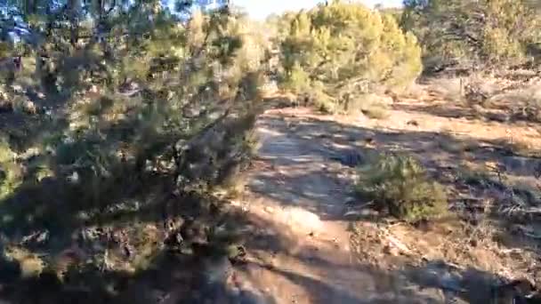 Узкая Кустарниковая Велосипедная Дорожка Пустынном Районе Колорадо Выстрел Верховой Езды — стоковое видео
