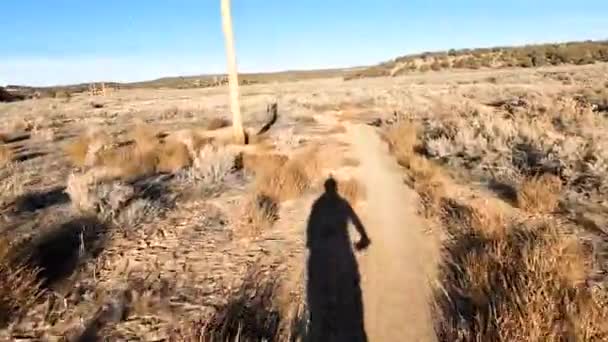 Speeding Desert Trail While Passing Old Wooden Power Line Poles — Video Stock