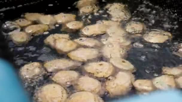 Abalone Crawling Black Film Aerated Tank Highly Prized Seafood — ストック動画