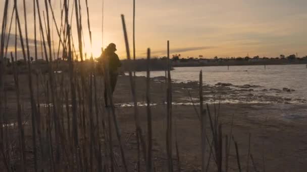 Person Standing Shore Pink Lagoon Sunset Torrevieja Alicante Spain Slide — Stock video