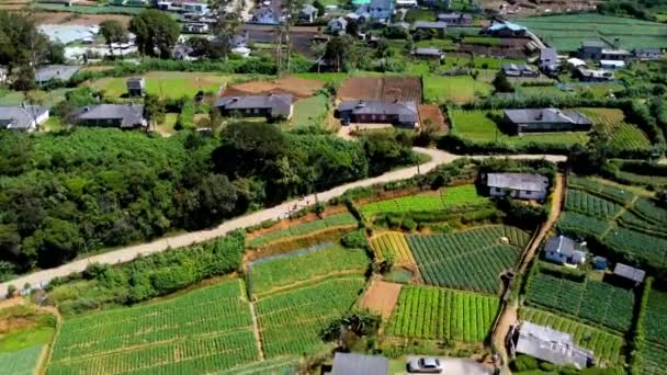 美しい緑の景観の上を飛ぶプランテーション素敵な家の周りに分散建築 スリランカ — ストック動画