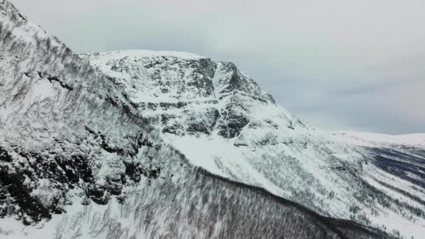 マンダレン 空中の雪の山の斜面に休眠葉の森 — ストック動画