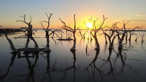 Beautiful Sunset Scenery Ghost Town Villa Epecuen Grove Underwater Dead — Vídeos de Stock