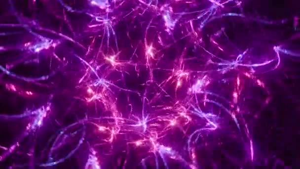 Abstract Neon Light Energy Aurora Looping Purple Plasma Vortex Futuristic — Stockvideo