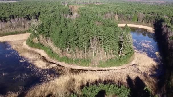 Una Pequeña Isla Medio Pequeño Lago — Vídeo de stock