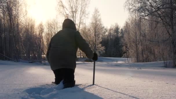 Silhueta Homem Caminha Através Neve Profunda Floresta Durante Hora Ouro — Vídeo de Stock