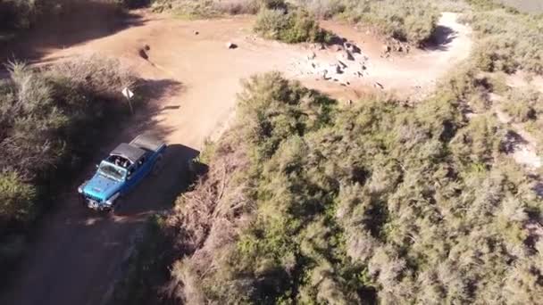 Road Vehicle Driving Extreme Forestry Desert Area Aerial Drone View — Stock videók