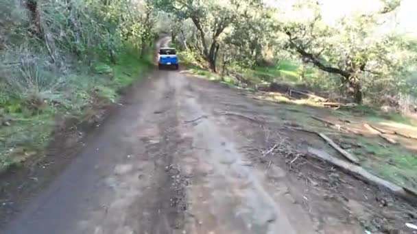 Kendaraan Mengemudi Jalan Tanah Luar Taman Jalan California Pov Melihat — Stok Video