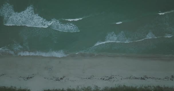 Aerial Video Waves Florida Beach — Vídeos de Stock