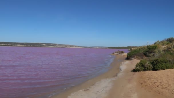 Hutt Lagoon Rosa Panoramasjön Kalbarri Västra Australien — Stockvideo