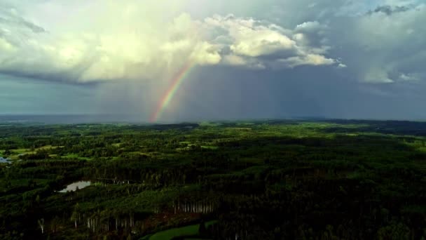 Повітряний Знімок Барвистої Веселки Над Зеленим Лісом Хмарному Небі Вдень — стокове відео