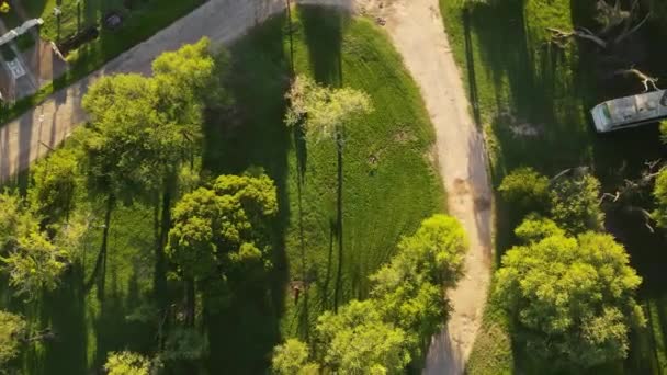 Aerial Top Red Tractor Cutting Green Grass Park Sunset Time — Stock Video