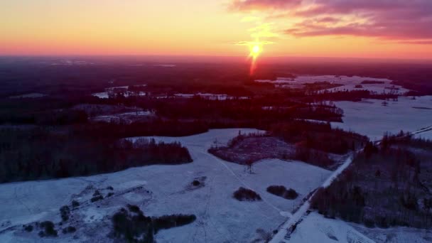 Drone Antenn Utsikt Över Kallt Vinterlandskap Landsbygdslandskapet Träd Täckta Med — Stockvideo