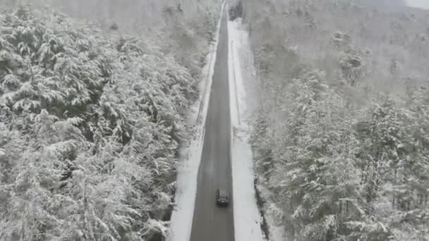 Letecké Video Následující Auto Jede Zimní Silnici — Stock video