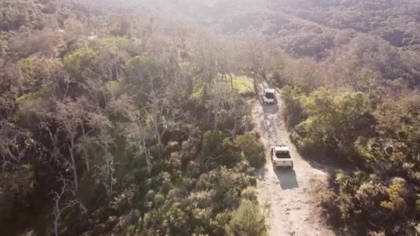 Vehicles Driving Extreme Road Track Forestry Area Aerial View — Stock video