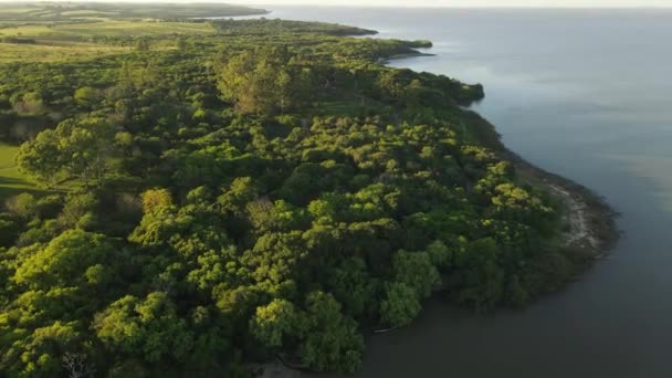 Picturesque Green Forest Landscape Coastline Atlantic Ocean Aerial Flyover Rio — Stockvideo