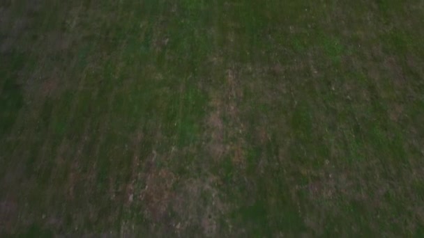 Perfect Aerial Drone Flight Fly Forwards Slowly Tilt Low High — Vídeo de Stock