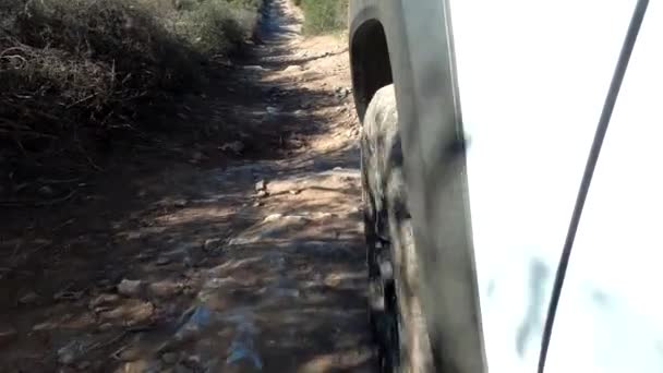 White Color 4X4 Vehicle Drive Extreme Gravel Road Side Pov — Wideo stockowe